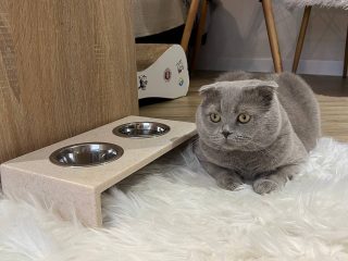 Для животных